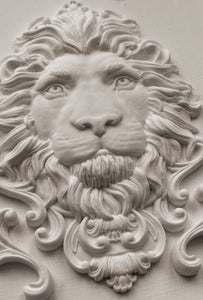 IOD Mould - Leonidis