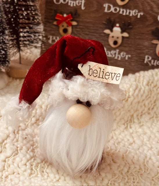 Lola's Believe Santa gnome